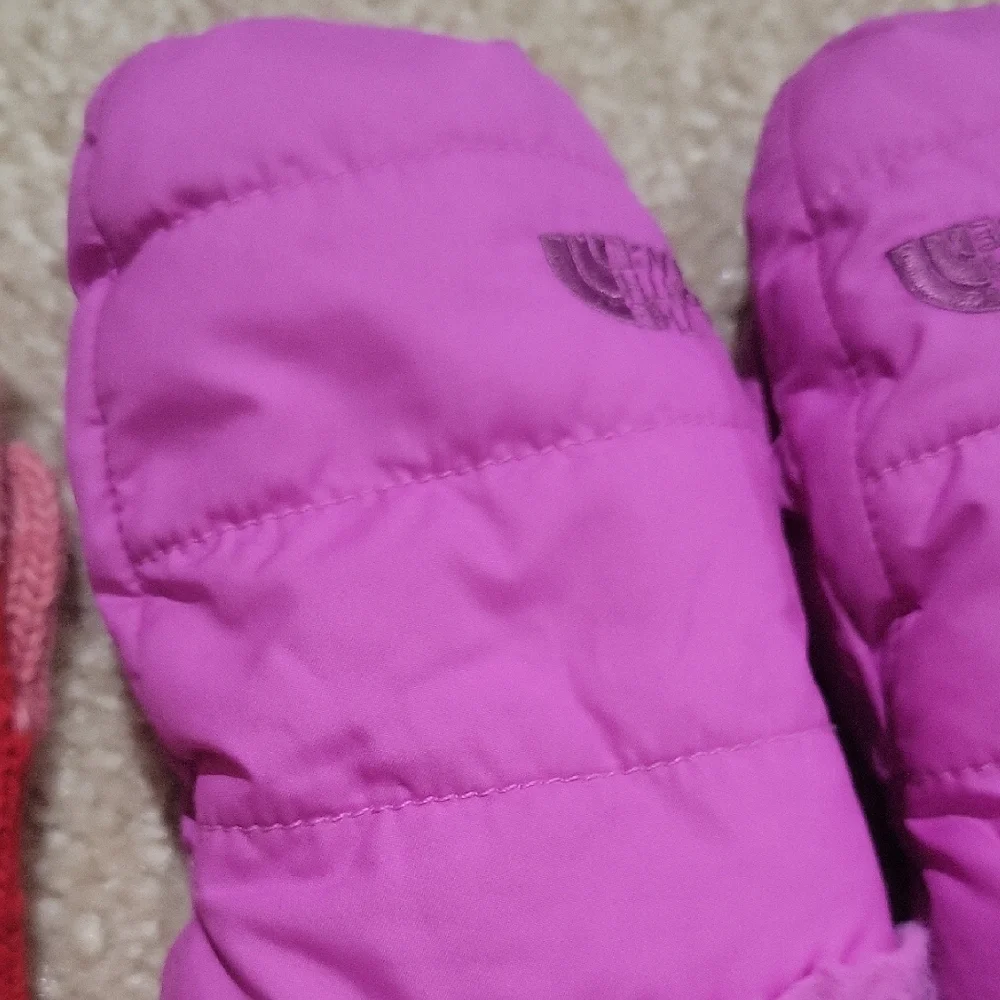 Free With Any Other Item! The North Face Pink and Red Bear Mittens